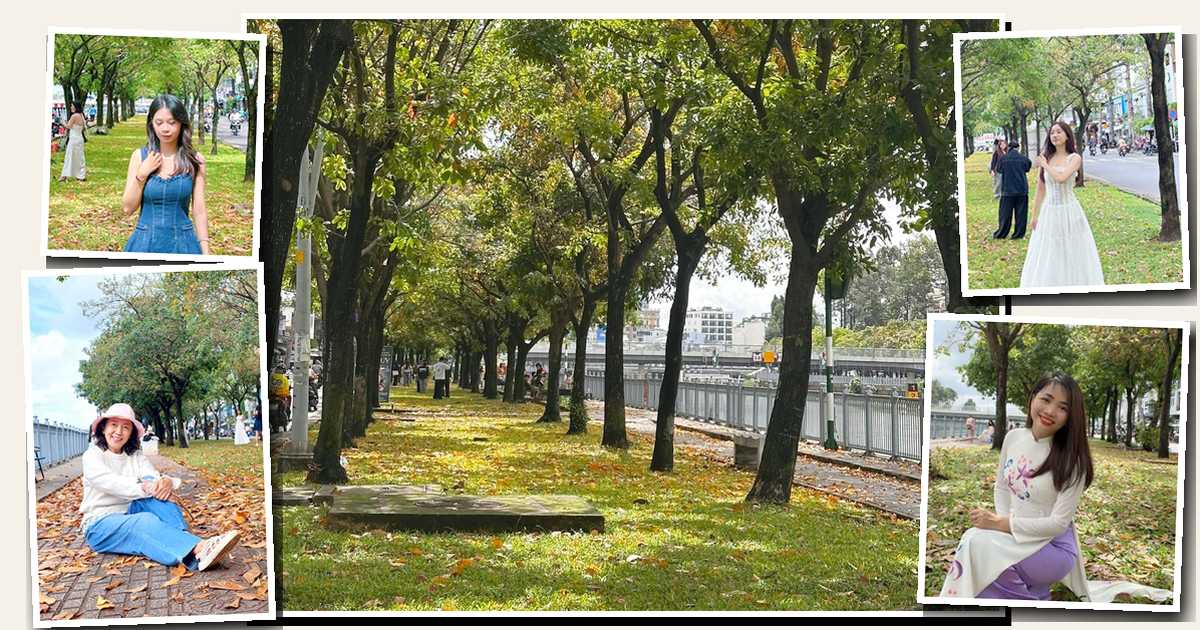 Dù trời âm u, nhiều người vẫn dậy sớm trang điểm, diện áo dài đến ‘con đường mùa thu’ ở TP.HCM chụp ảnh