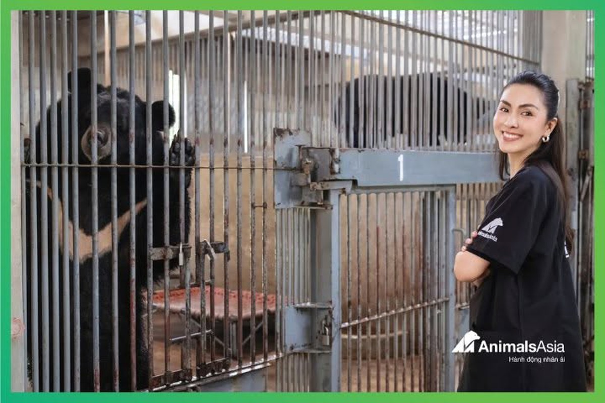 Tăng Thanh Hà nhận bảo trợ trọn đời gấu ngựa tên An từ khi còn bú bình