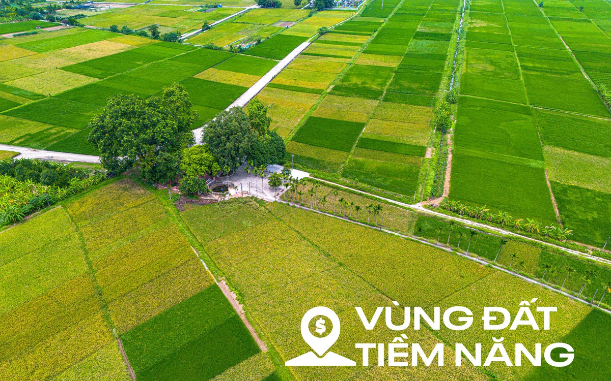 Toàn cảnh khu đô thị 600 ha rộng hơn hồ Tây, có đến gần 50% là nhà ở tái định cư, sắp được Vinhomes xây dựng ở Nam Hà Nội