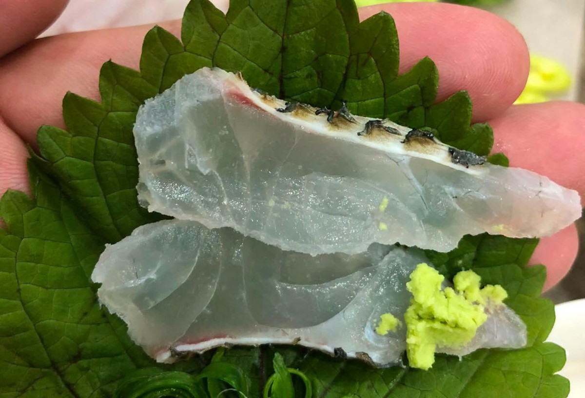 Một loại cá rẻ bèo bán đầy chợ Việt Nam, dinh dưỡng vượt cá hồi, được người Nhật tăng mua để làm sashimi