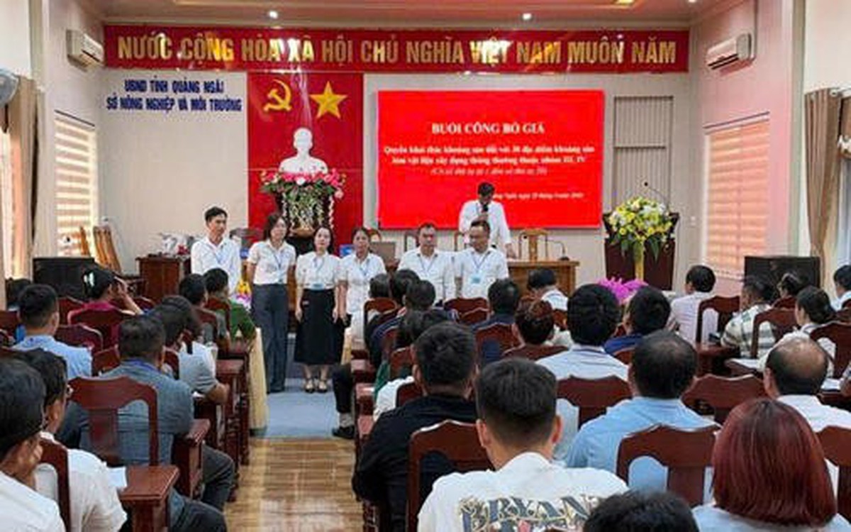 "Choáng váng" giá cát đấu giá tại Quảng Ngãi: Vượt mốc 1 triệu đồng/m³, cao gấp 4 lần thị trường
