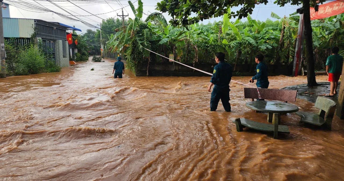 Đồng Nai "lệnh" dỡ gấp cầu tạm sông Buông vì gây ngập
