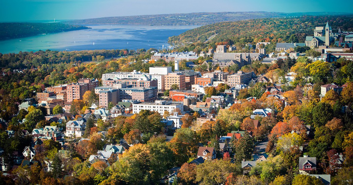 Đại học Cornell đứng thứ mấy thế giới?