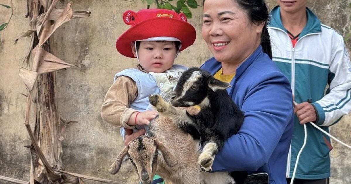 24.000 người được sơ cứu, 2 con dê cho 1 gia đình và những thay đổi bắt đầu từ điều nhỏ bé