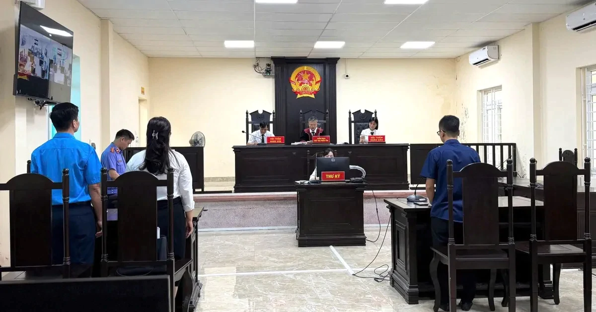 Viện kiểm sát khởi kiện doanh nghiệp chậm, trốn đóng bảo hiểm xã hội