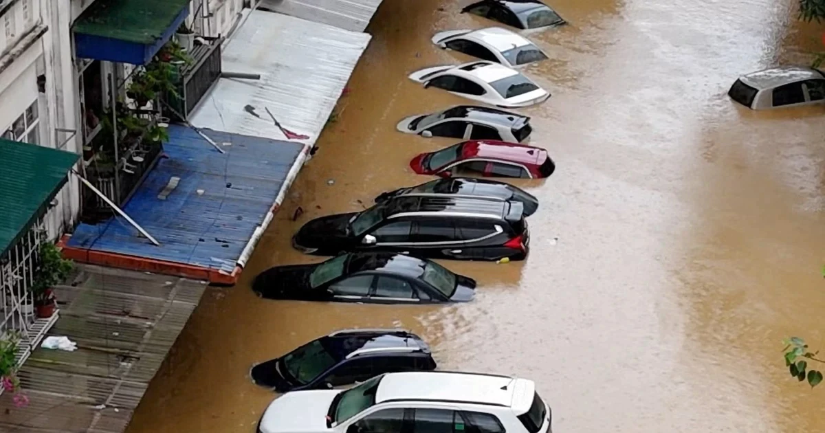 Sắp đấu giá lô xe ô tô bị ngập nước qua nóc, giá từ 2,02 tỷ đồng