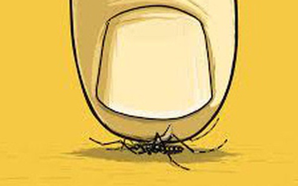 Quy luật của loài muỗi: Tại sao phải tránh xa kiểu một người "chỉ như muỗi vo ve" nhưng cực kỳ độc hại?