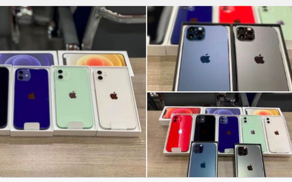 Lộ diện full màu các mẫu iPhone 12, phiên bản màu xanh blue bị chê tới tấp