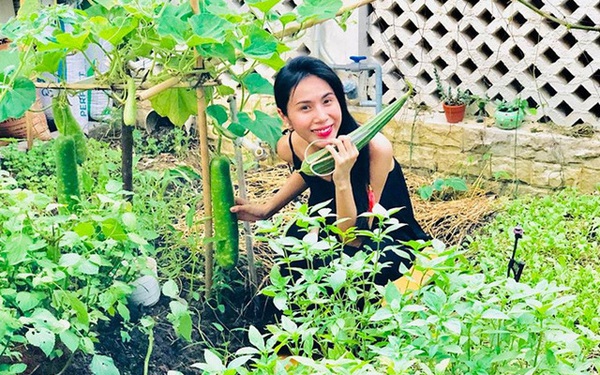 Cuộc sống giản đơn của vợ chồng Công Vinh - Thuỷ Tiên: Cùng nhau chăm sóc vườn rau sạch, tự tay thu hoạch củ quả, ăn không hết đem tặng hàng xóm