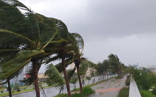 Các địa phương từ Quảng Ninh đến Phú Yên sẵn sàng ứng phó với bão Atsani