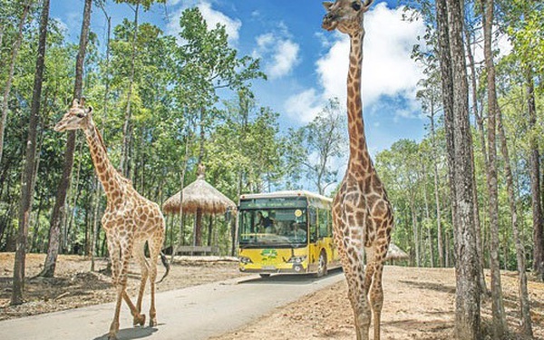 Hà Nội chuẩn bị có Vinpearl Land rộng 80ha tại Gia Lâm kết hợp Safari dưới nước và trên cạn