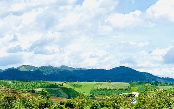 Nở rộ xu hướng "săn" đất làm nhà vườn