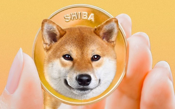 Sự nguy hiểm đằng sau cơn sốt tiền ảo Shiba Inu