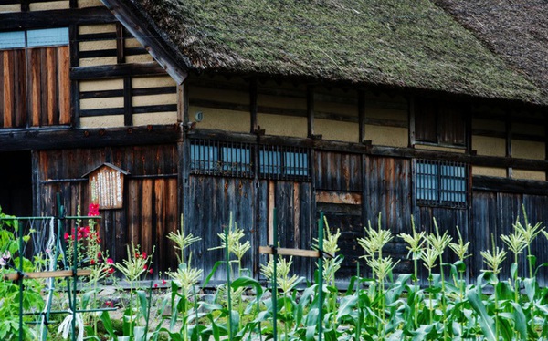 Tựa như một viên pha lê trong không gian rộng lớn, ngôi nhà vùng nông thôn Nhật sẽ làm trái tim của bạn thổn thức vì nó đơn giản và tinh tế đến tột độ. Hãy xem qua hình ảnh và cảm nhận sự thanh thoát của kiến trúc truyền thống này.