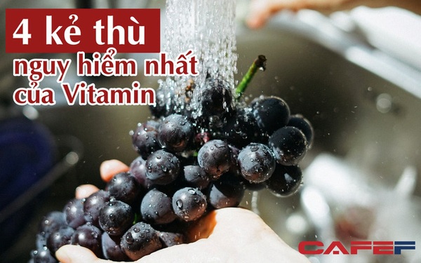 4 kẻ thù nguy hiểm nhất của vitamin trong rau quả: Chỉ cần đụng tới 1 thứ, chất dinh dưỡng bị phá hủy hoàn toàn