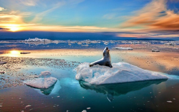 Nơi dự trữ nước ngọt khổng lồ Greenland đang mất 357 tỷ tấn băng mỗi năm