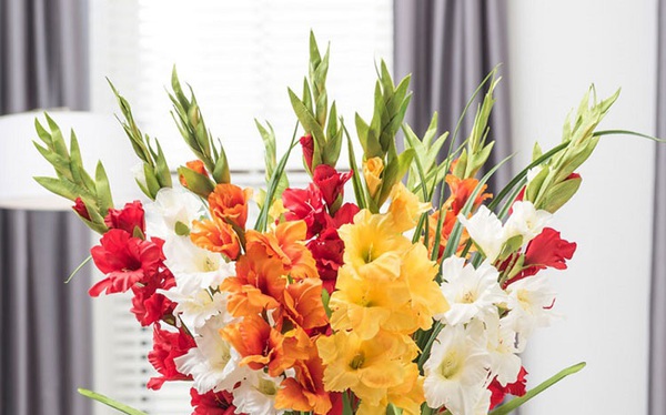 Hoa cúng Tết là nét văn hóa đặc trưng của người Việt vào dịp Tết Nguyên Đán. Năm 2024, chúng ta sẽ được chứng kiến những loại hoa mới thú vị, tươi sáng và đẹp mắt nhất được trình diễn trong hình ảnh này. Hãy cùng đón Tết tràn đầy hoa cúng và tạo nên không khí ấm áp đầy niềm vui, hạnh phúc.