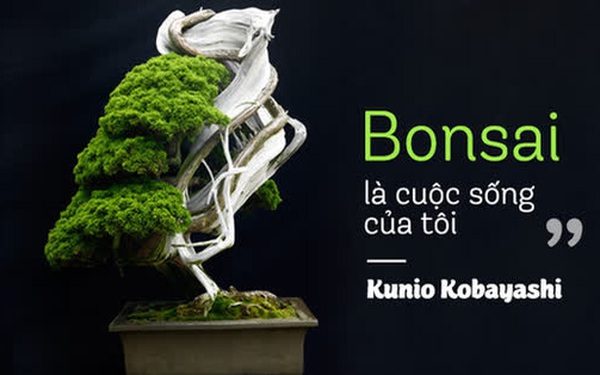 Top 10 cây Bonsai đẹp nhất thế giới