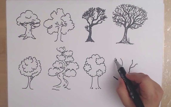 Với bút và giấy, bạn có thể vẽ được những bức tranh tuyệt đẹp về cây cối trong tự nhiên. Hãy khám phá ngay hình ảnh về \