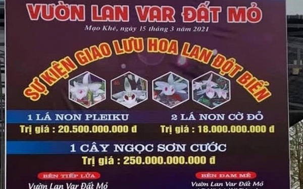 Bảng quảng cáo về "màn" mua bán lan đột biến gần 300 tỷ đồng ở Quảng Ninh. Bảng quảng cáo về "màn" mua bán lan đột biến gần 300 tỷ đồng ở Quảng Ninh.