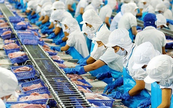 Xuất khẩu thuỷ sản Việt Nam lấy lại đà tăng trưởng