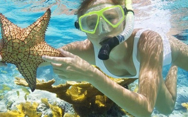 Mùa hè vẫy vùng cùng những điểm lặn ngắm san hô đẹp nhất Việt Nam: Du ngoạn vào thế giới sinh vật biển kỳ thú và lộng lẫy