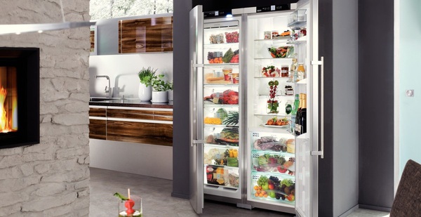 5 tủ lạnh đắt nhất hiện nay, có chiếc lên đến cả trăm triệu nhưng liệu có đáng đồng tiền bát gạo?