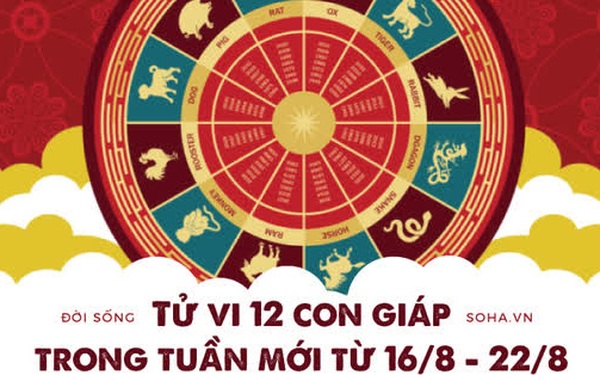 Tử vi 12 con giáp trong tuần mới từ 16/8 – 22/8: 8 con giáp có tin vui trong công việc và tiền nong