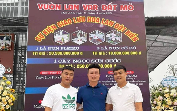Hai anh em song sinh Giang, Thanh nổi tiếng với thương vụ mua bán lan hàng trăm tỷ. Ảnh: TĐ. Hai anh em song sinh Giang, Thanh nổi tiếng với thương vụ mua bán lan hàng trăm tỷ. Ảnh: TĐ.