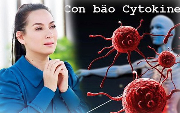 Trước khi mất, ca sĩ Phi Nhung đã bị cơn bão cytokine tấn công... Trước khi mất, ca sĩ Phi Nhung đã bị cơn bão cytokine tấn công...