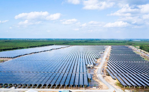 Bamboo Capital chuẩn bị chào bán 500 tỷ đồng trái phiếu ra công chúng, huy động vốn đầu tư vào năng lượng tái tạo