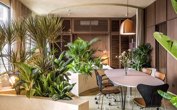 The owner of Saigon brings a tropical garden into a nearly 90 m2 apartment located in the middle of a wealthy district in District 2