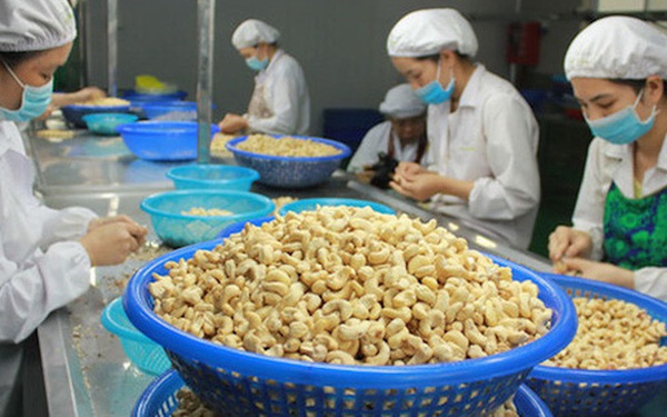 Will 5 Vietnamese banks face the risk of the biggest fraud case of nearly 1,000 billion in the history of the cashew nut industry?