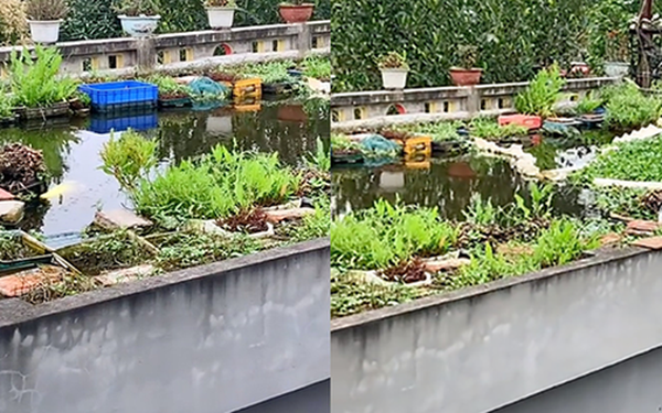 MXH’s most “cool” neighbor built a pool on the roof of his house, making netizens “sorry”, it’s true that successful people always have their own ways!!!