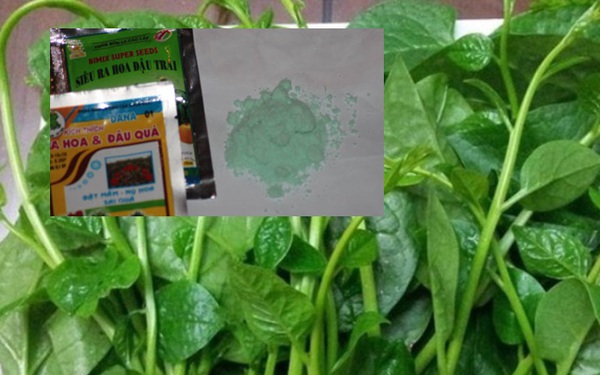 Horror, just spray “stimulating” for 5 hours, spinach grows 30cm