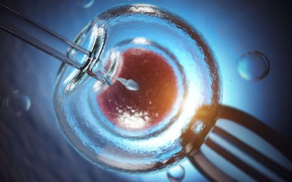 Doctor tells story of using microscope to “catch” sperm in “unthinkable places” to help infertile men have children