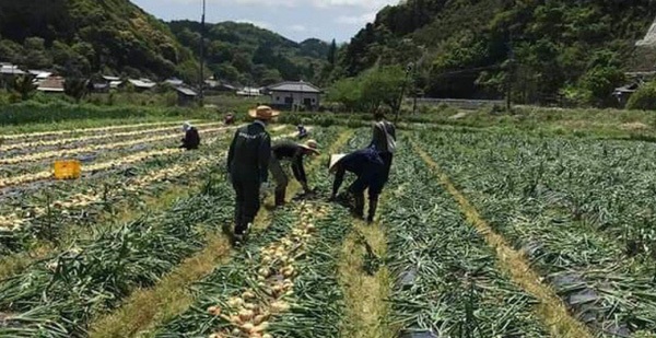 Fraud alert sends workers for seasonal work in Korea