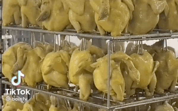 This is how a famous Vietnamese hotel boiled “100 chickens”, as modern as this, where have you ever seen it!