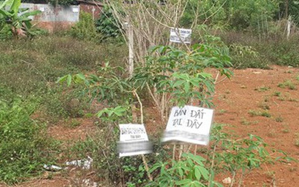 ‘Land fever’ is rampant, the area around Buon Ma Thuot is blown in billions of dollars