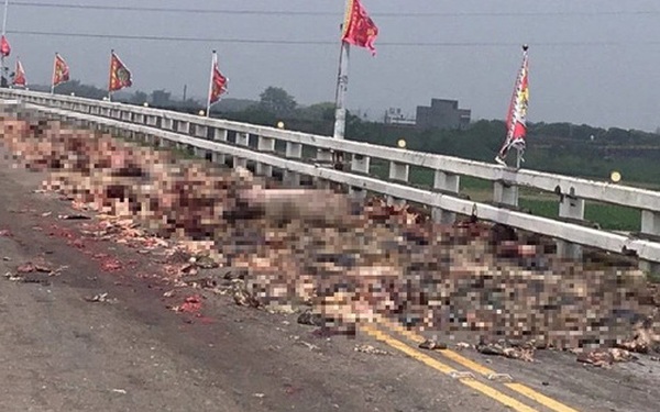 Trucks spilling pig organs are rampant on the bridge, blocking traffic for 2 hours, the image of the scene “smelly” haunts
