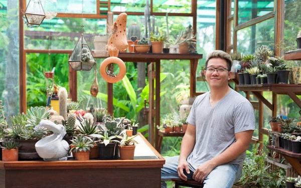 The young man’s beautiful garden of cacti and lotus plants makes use of old wood to build