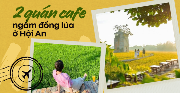 Tables and chairs are placed in the middle of the rice fields, freely taking pictures to check-in in a beautiful frame like a movie