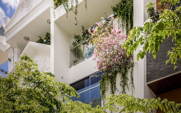 The ‘hanging garden’ in the tube house in the heart of Saigon