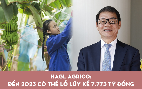 HAGL Agrico plans to lose more than 2,700 billion dong in 2022