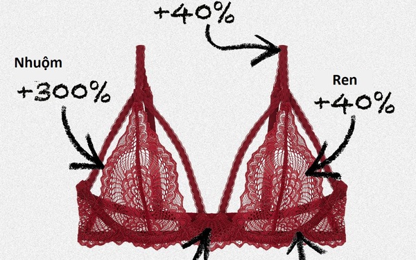 Lạm phát khủng khiếp nhìn từ chiếc áo ngực phụ nữ: Từ nút cài đến vải ren đều tăng giá, mua loại có gọng hay không gọng là cả một vấn đề