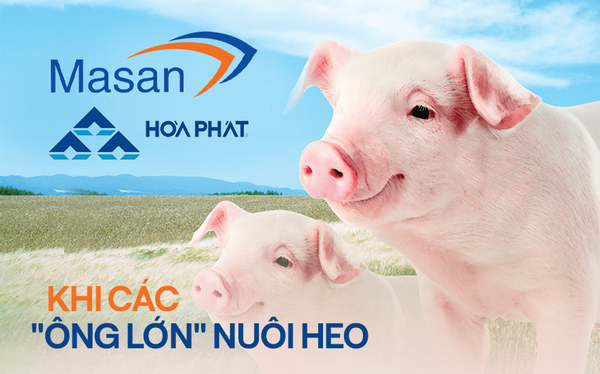 Khi các tỷ phú Việt nuôi heo: Masan có MeatDeli đổ bộ mâm cơm dân thành thị, Hòa Phát chỉ bán heo giống và heo hơi