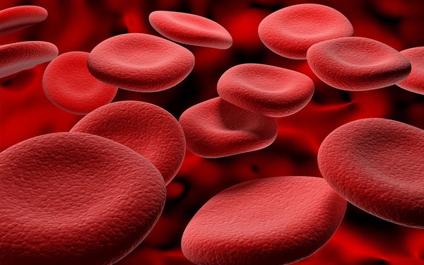 Why do we have different blood types?