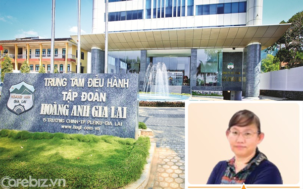 Another “public servant” who has been with Hoang Anh Gia Lai for more than 25 years, wants to leave the Board of Directors
