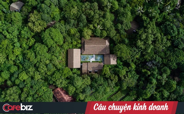 Phú Quốc có resort trong rừng đẹp nhất thế giới: Giá chưa tới 2 triệu đồng/đêm, không TV, điều hòa, tủ lạnh nhưng mở cửa ra là chạm tay vào thiên nhiên