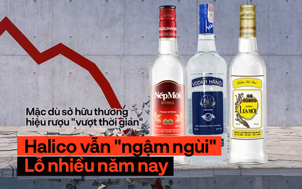 Câu chuyện lợi nhuận "buồn" sau những chai Vodka Hà Nội, Nếp Mới, Lúa Mới của Halico